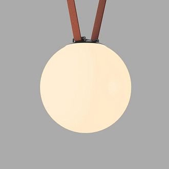 Светильник на шине *23*23,6- см, *LED*15W, 3000K, Denkirs BELTY ORB DK5555-BK, черный пластик
