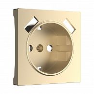 W1179511 Накладка для розетки USB, шампань Werkel, 4690389157462