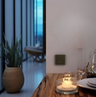 Радиовыключатель сенсорный HiTE PRO SN-R1 (Темно-коричневый, закругленные углы) HPSW-SNR1-D/B