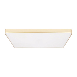 Потолочный светильник 88*62*5 см, 1*LED*90W 4000K золото LOFT IT Flims 10228/E