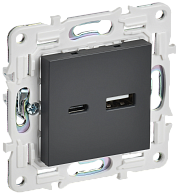 SKANDY Розетка USB A+C 3,1А SK-R14T титан IEK, SK-U22-D31-K48