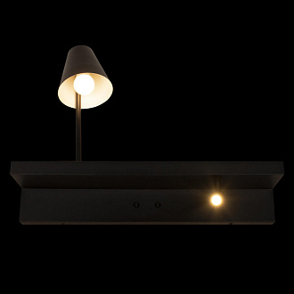 Настенный светильник 60*15*4,3 см, 2*E27*40W 4000K черный Loft It Shelf 10216/2W Black