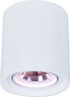 Cпот накладной гипс ArteLamp Tubo A9262PL-1WH,белый, 20*20*22 см