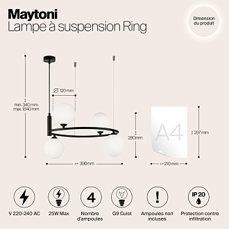 Подвесная люстра Maytoni Ring MOD013PL-04B, черный