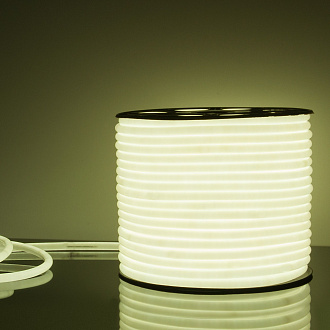 Светодиодный гибкий неон Гибкий неон 220V 9,6W 144Led 2835 IP67 круглый холодный белый, 50 м Elektrostandard, цена за метр