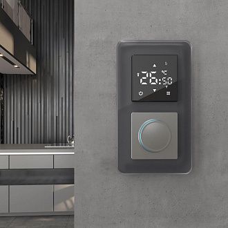 W0022440 Рамка на 2 поста Elite, графит, стекло Werkel, 4690389180705