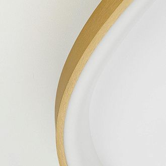 Светильник 66 см, 80W, 3000-5500K, Citilux GENKA SMART CL756A162, золото