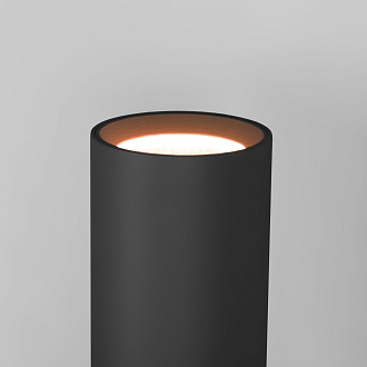 Светильник настенный светодиодный Langer IP44 40123/LED черный Elektrostandard