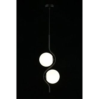 Подвесной светильник 22*80-160 см, 2*G9, 5W, Aployt Jagna APL.312.06.02, черный