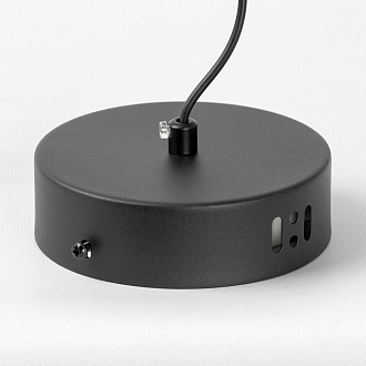 Подвесной светильник 18*12*40/170 см, 1*LED*8W 4000K Lussole Alachua LSP-7181 черный