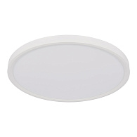 Потолочный светильник 50*3 см, 1*LED*40W 4000K белый LOFT IT Extraslim 10227/40 White