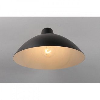 Бра 33*24*16 см, E27, 60W, Aployt Klarka APL.632.01.01, золото матовое