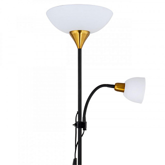 Светильник 176 см, Arte Lamp DUETTO A9569PN-2BK, черный