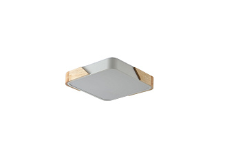 Светильник 30*30*5 см, LED 24W 4000K белый Zortes Alberro ZRS.01285.24