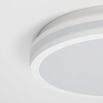 Светильник 29 см, 24W, 3000-4000-6500K Citilux CL711020V LUNS 24W IP64