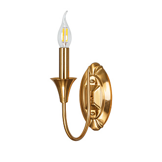 Бра 24*21*9 см, 1*E14, 40W, Arte Lamp Collinetta A4094AP-1PB, Полированная Медь