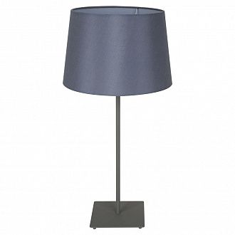 Настольная лампа Lussole Lgo LSP-0520, серый