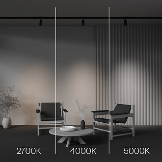 Трековый трехфазный светильник 6 см, 12W, 2700-5000K, Maytoni Technical Three phase track system Trinity Focus Led TR197-3-12WCCT-M-B, черный
