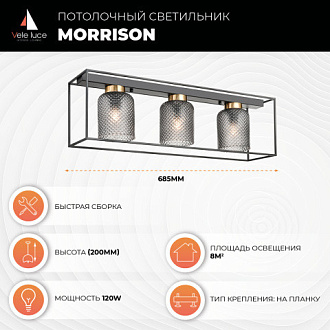 Потолочный светильник 16*69*20 см, 3*E27 черный, золото Vele Luce Morrison VL5472L03