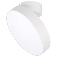 Накладной светильник Arlight 028168 *25*9 см, 30W, белый (дневной)K,