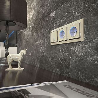 W1171403 Розетка с подсветкой, слоновая кость Werkel, 4690389171673