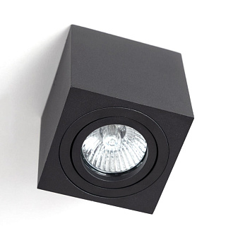 Светильник Черный Citilux Дюрен CL538213