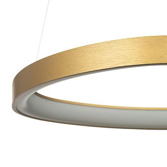 Светильник 46 см, 55W, 3000-5500K, Citilux GENKA SMART CL756A042, золото