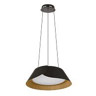 Подвесной светильник 50 см, 38W, 4000K, Loft IT Lane 10370P Black, черный