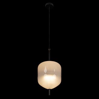 Подвесной светильник 25 см, 1*LED*16W 3000K черный Loft It Venice 10223/D White