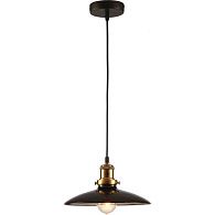 Подвесной светильник Диаметр 25 см Lussole Loft LSP-9604