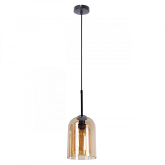 Светильник 15 см Arte Lamp PAIO A7015SP-1BK черный