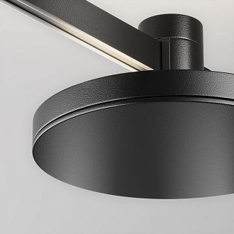 Трековый светильник Plato Flarity 4000K 7Вт 120°, 5,1 см, LED*7W, Maytoni TR152-1-7W4K-B, Черный
