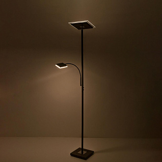 Торшер 30W, 3000K Citilux Харди CL802015 коричневый