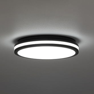 Светильник 29 см, 24W, 3000К-6000К IP64 Citilux CL711021V LUNS Черный