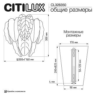 Настенный светильник 30 см, Citilux Hasienda CL328350, золото