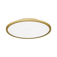 Светильник  Золотистый/белая LED 1*42W 4000K St Luce  SLE1811-202-01