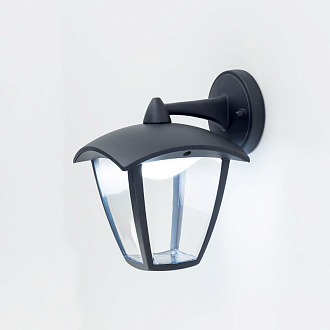 Уличный настенный светодиодный светильник Citilux CLU04W2, LED 7W, черный