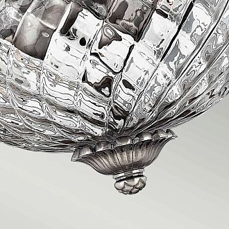 Потолочный светильник Hinkely Lighting, Арт. HK-PLANT-F-S-PL