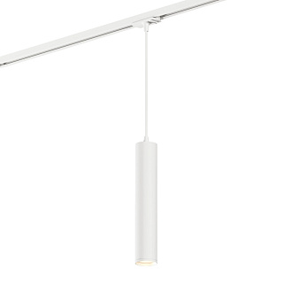 Светильник на шине Denkirs DK6210-WH белый