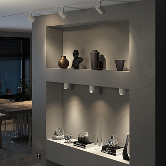 Накладной светодиодный светильник Cors 25032/LED 10W 4200K белый/серебро Elektrostandard