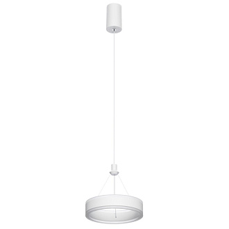 Подвесной светильник 20*30/125 см, 20W 4000K Citilux CL719010 Дуэт Белый С