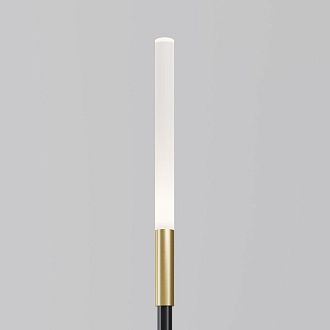 Ландшафтный светильник 80 см, 2W, 3000K, Maytoni Flare S O524FL-L2B3K, черный