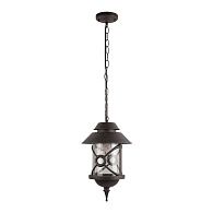 Подвесной уличный светильник *22*50,4-101,4 см, 1*E27*100W, LOFT IT Prato 100021P, черный