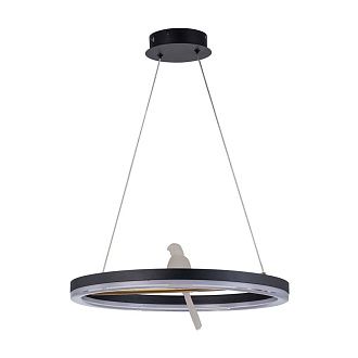 Подвесная люстра 50*25-130 см, 1*LED, 25W, 4000K, F-Promo Bardy 4654-1P, черный