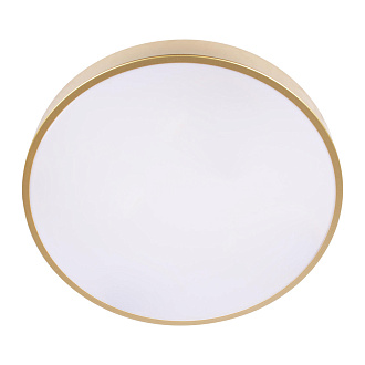 Потолочный светильник 40*5 см, 1*LED*24W 4000K золото LOFT IT Flims 10228/A