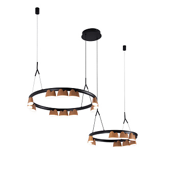 Подвесная люстра 87,5*60*161 см, 94.5W, Favourite Interline 4266-21P матовый черный, прозрачный акрил с узором, текстура дерева