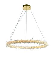 Люстра Ø750 x H50 (1000), мм, 70W 3000K-6000K, GOLD+CLEAR (Золото + Прозрачный Хрусталь) NewRgy 2837E/70W GOLD+CLEAR