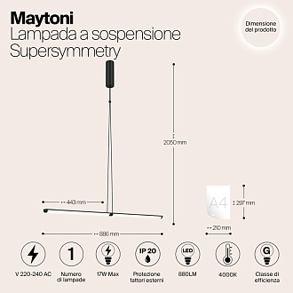 Подвесной светильник Supersymmetry P096PL-L11BK черный 