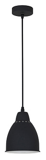 Подвесной светильник Arte Lamp Braccio A2054SP-1BK, черный
