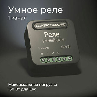 Умное одноканальное реле 76006/00 Elektrostandard